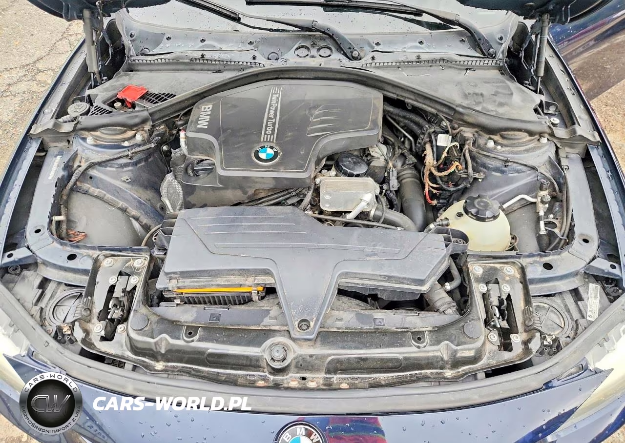 2013 BMW 320 I VIN:WBA3B1C5XDF461677 - 11