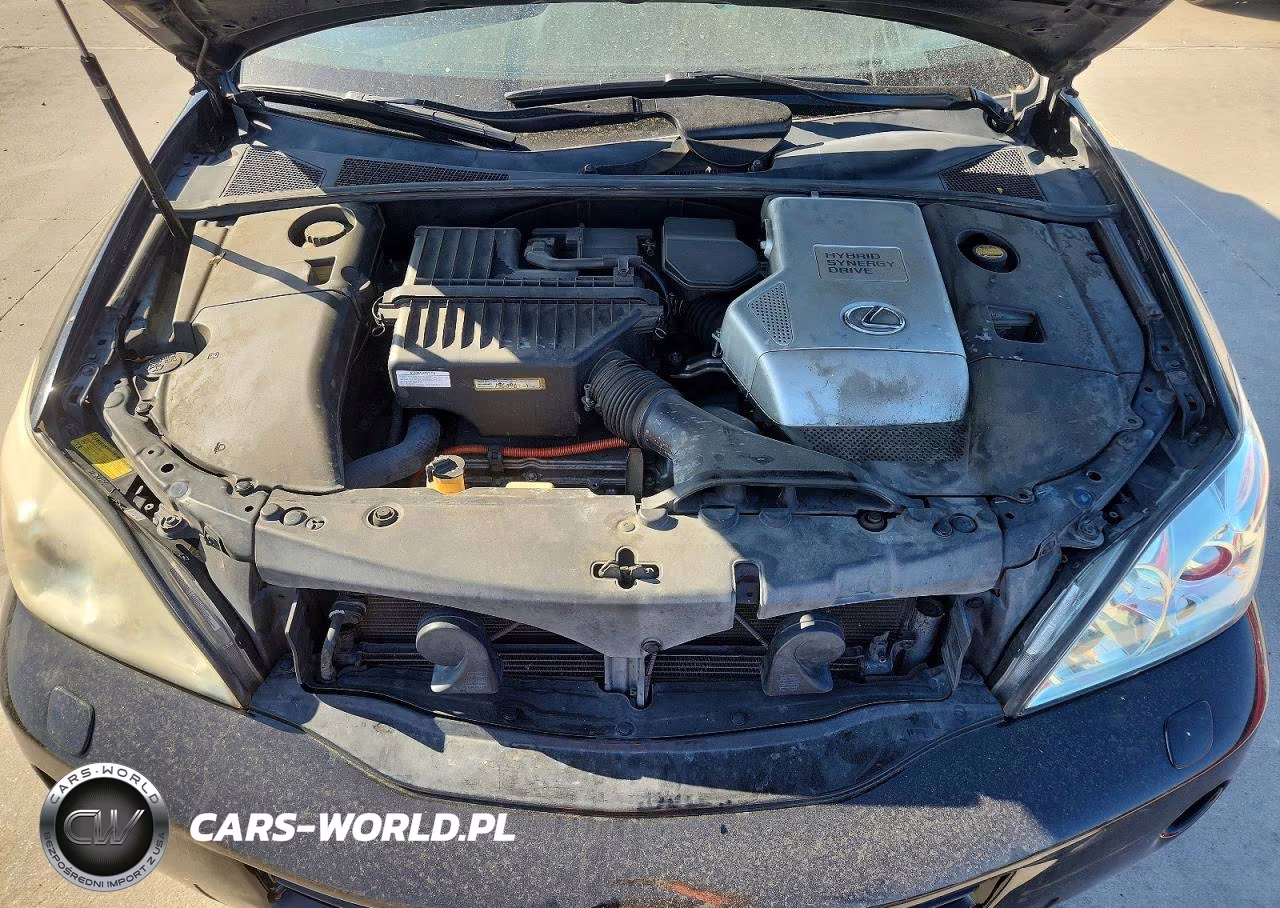 2006 Lexus Rx 400 VIN:JTJGW31U360001911 - 11