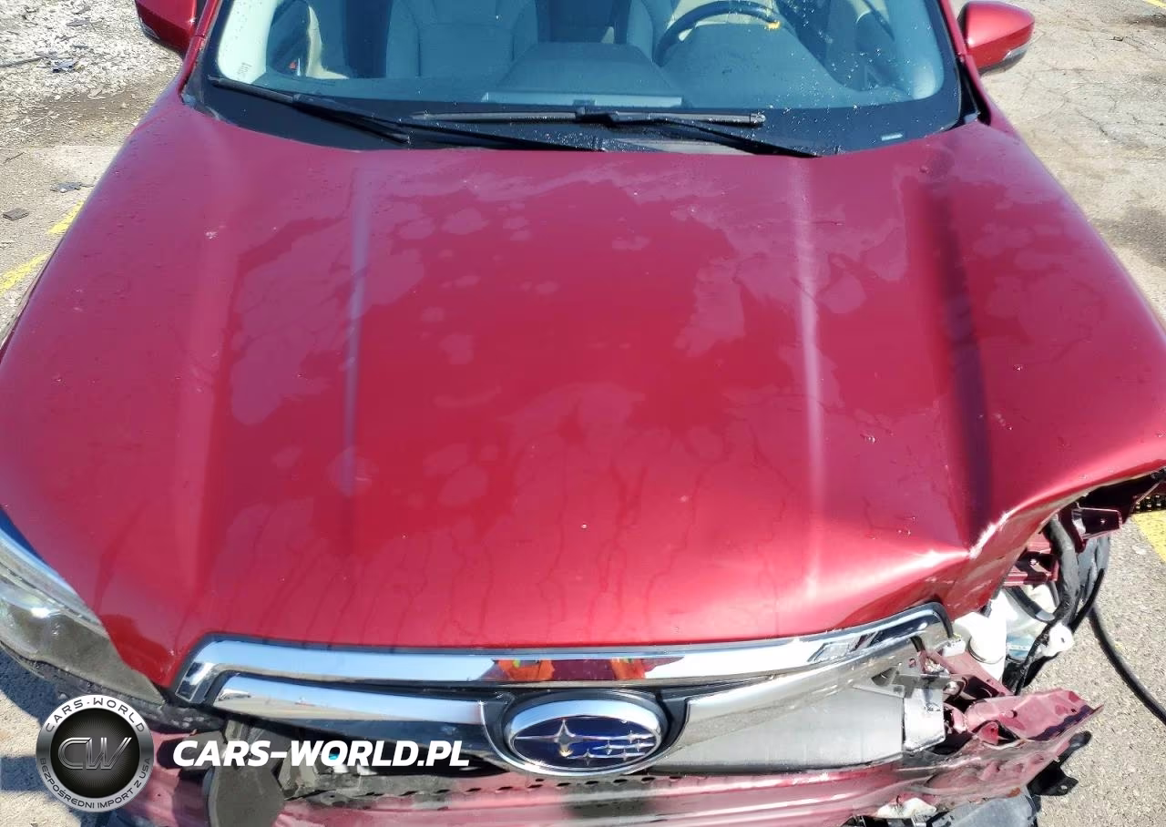 2019 Subaru Forester Limited VIN:JF2SKAUC1KH423656 - 12
