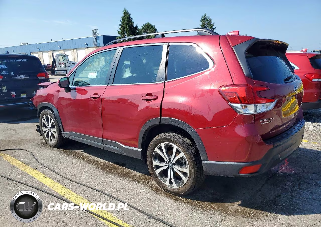 2019 Subaru Forester Limited VIN:JF2SKAUC1KH423656 - 2