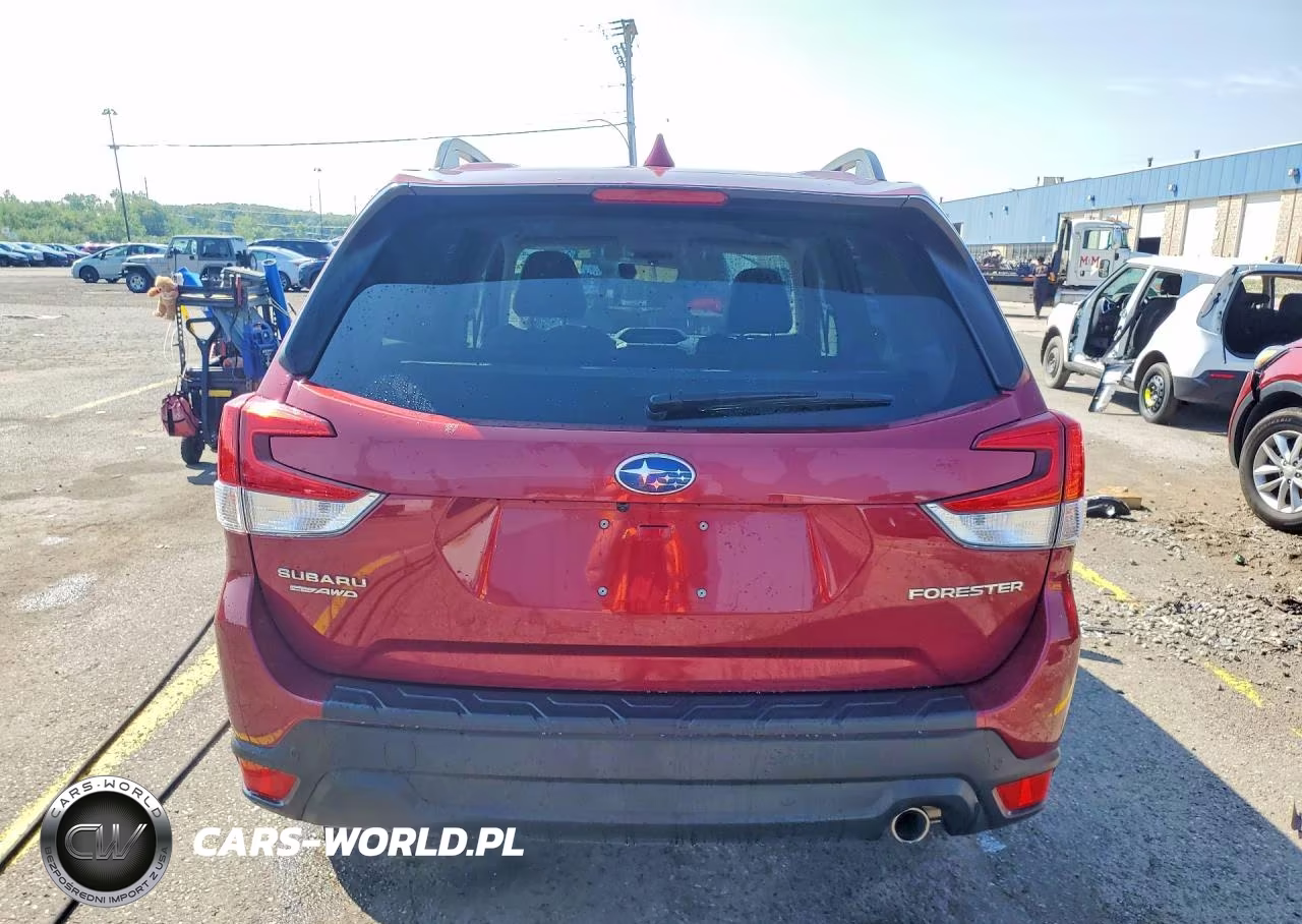 2019 Subaru Forester Limited VIN:JF2SKAUC1KH423656 - 6