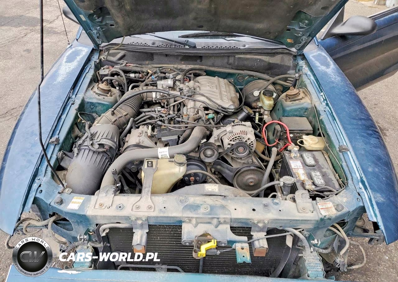 1997 Ford Mustang VIN:1FALP4049VF165736 - 11