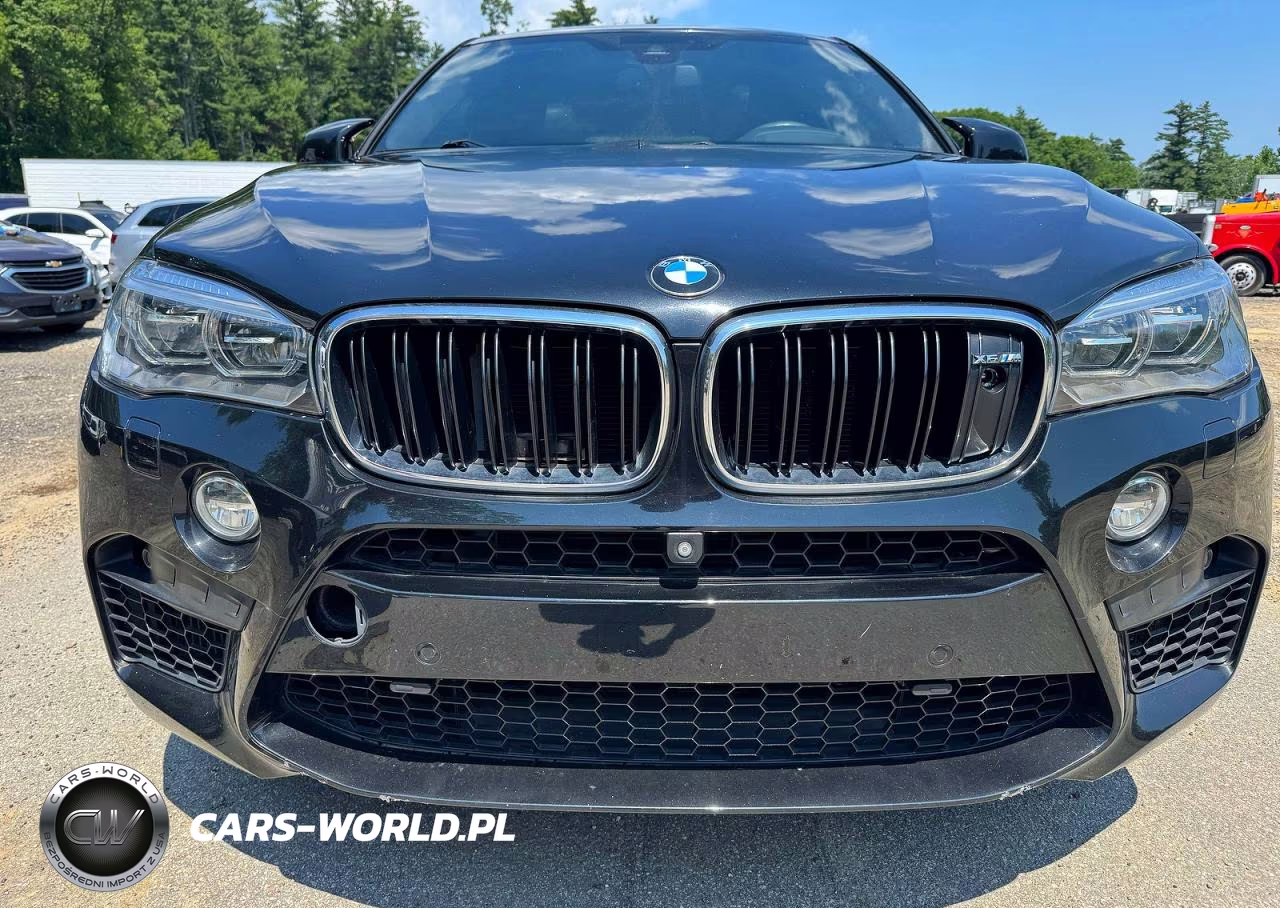 2017 BMW X6 M VIN:5YMKW8C36H0U72380 - 11
