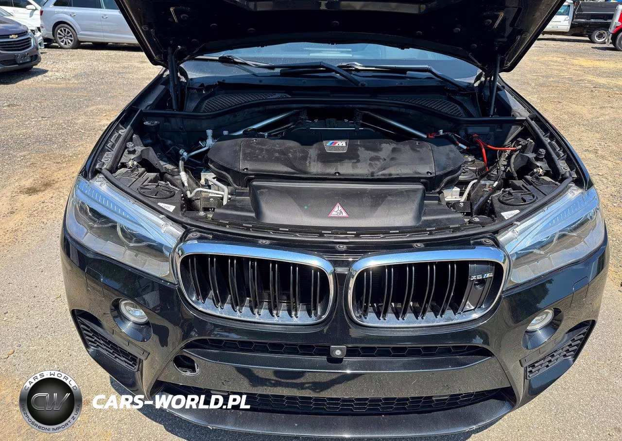 2017 BMW X6 M VIN:5YMKW8C36H0U72380 - 7