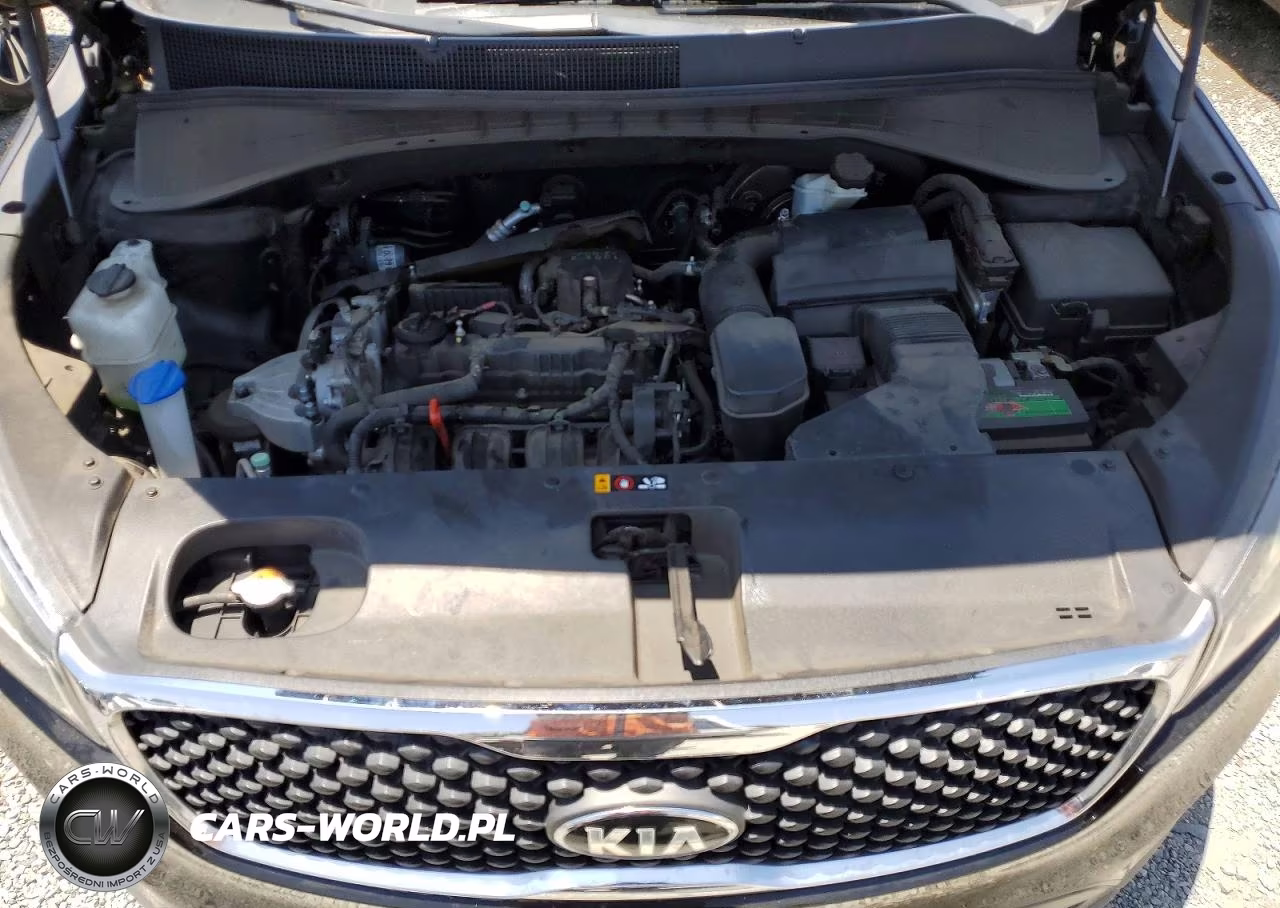 2016 Kia Sorento Lx VIN:5XYPG4A3XGG064643 - 12