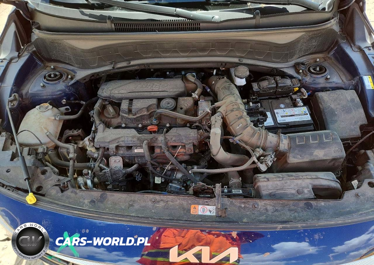 2024 Kia Seltos Sx VIN:KNDETCA72R7499544 - 11