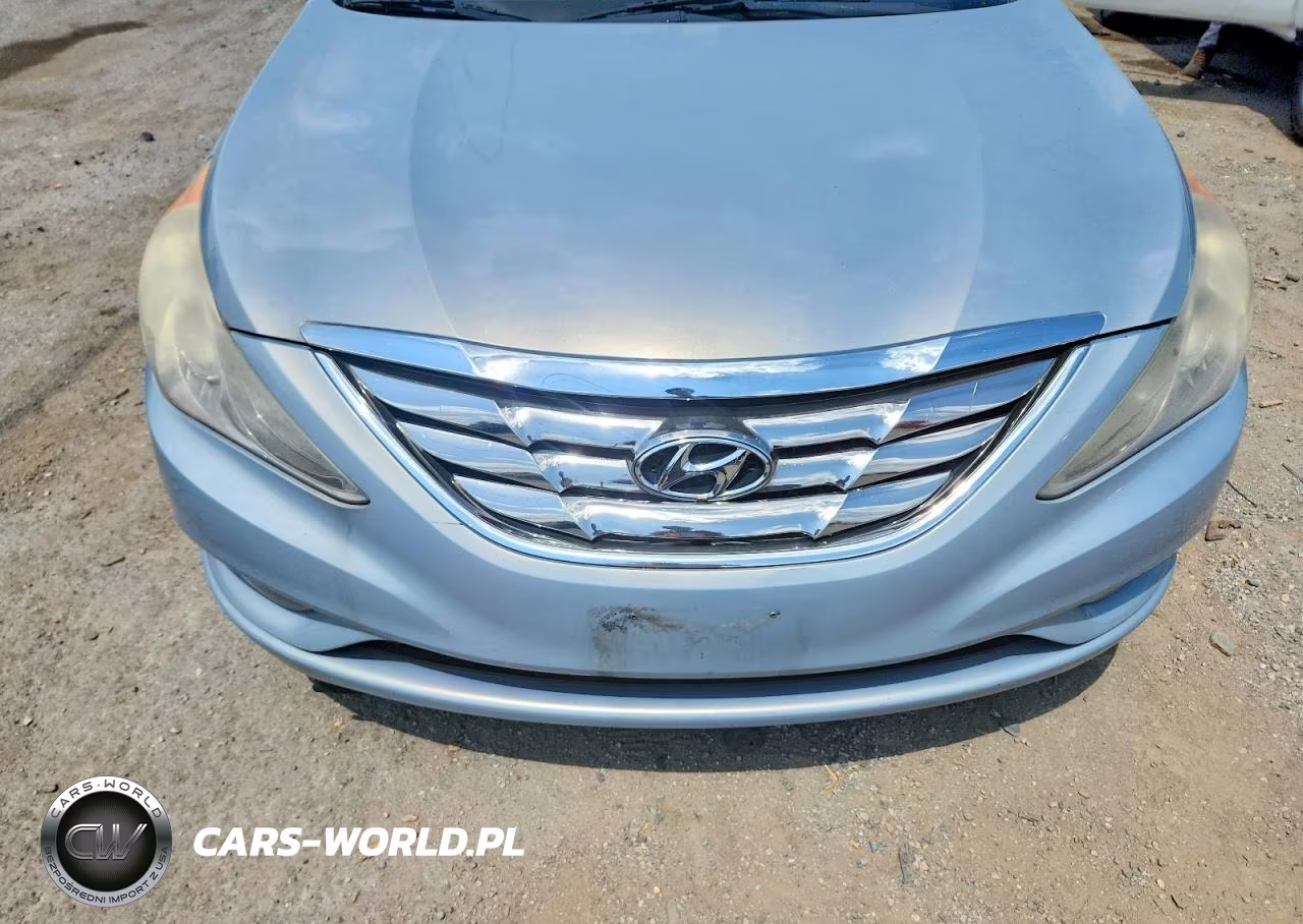 2011 Hyundai Sonata VIN:5NPEC4AB1BH296303 - 11