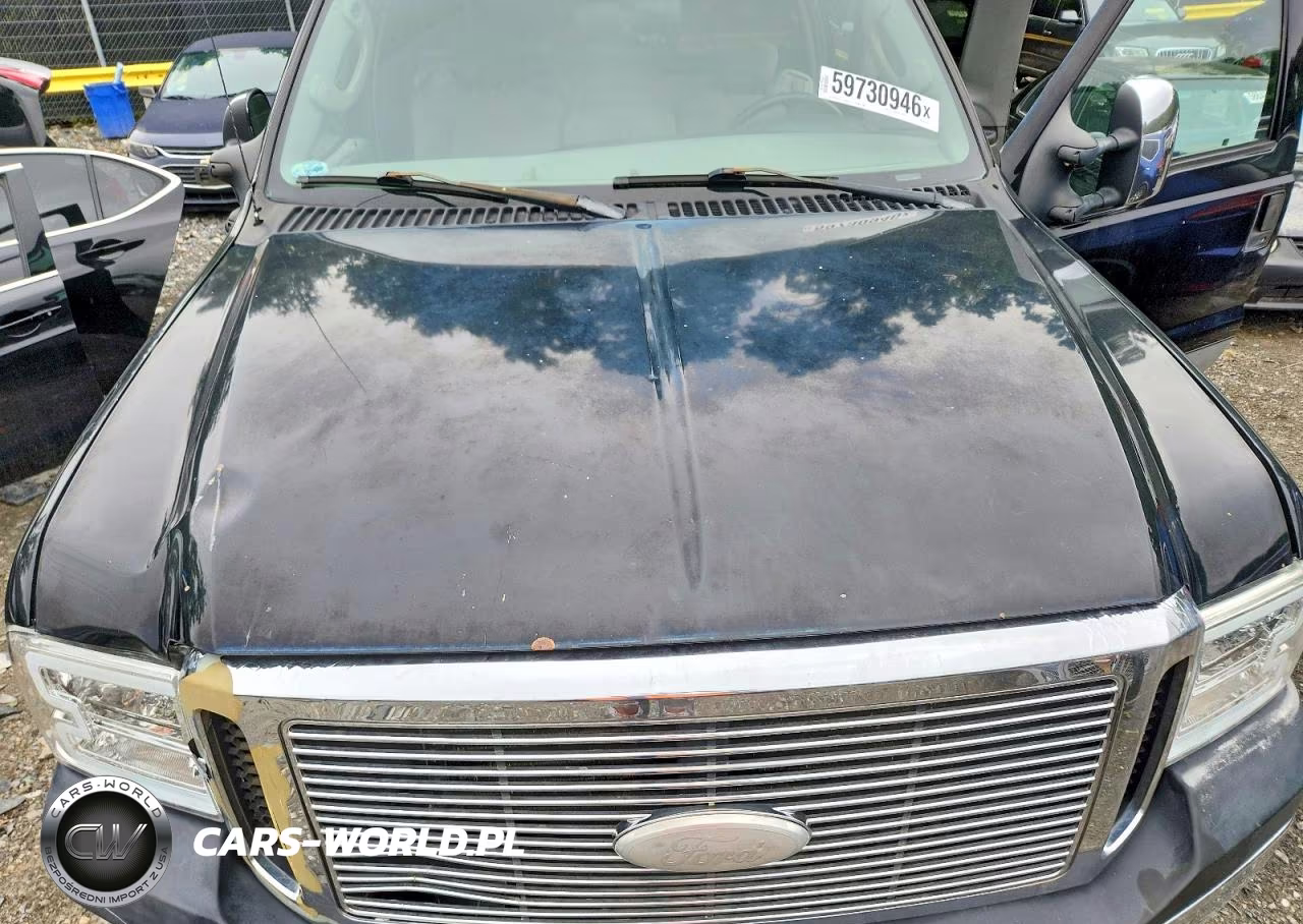 2006 Ford F250 Super Duty VIN:1FTSX21P36EB21855 - 11