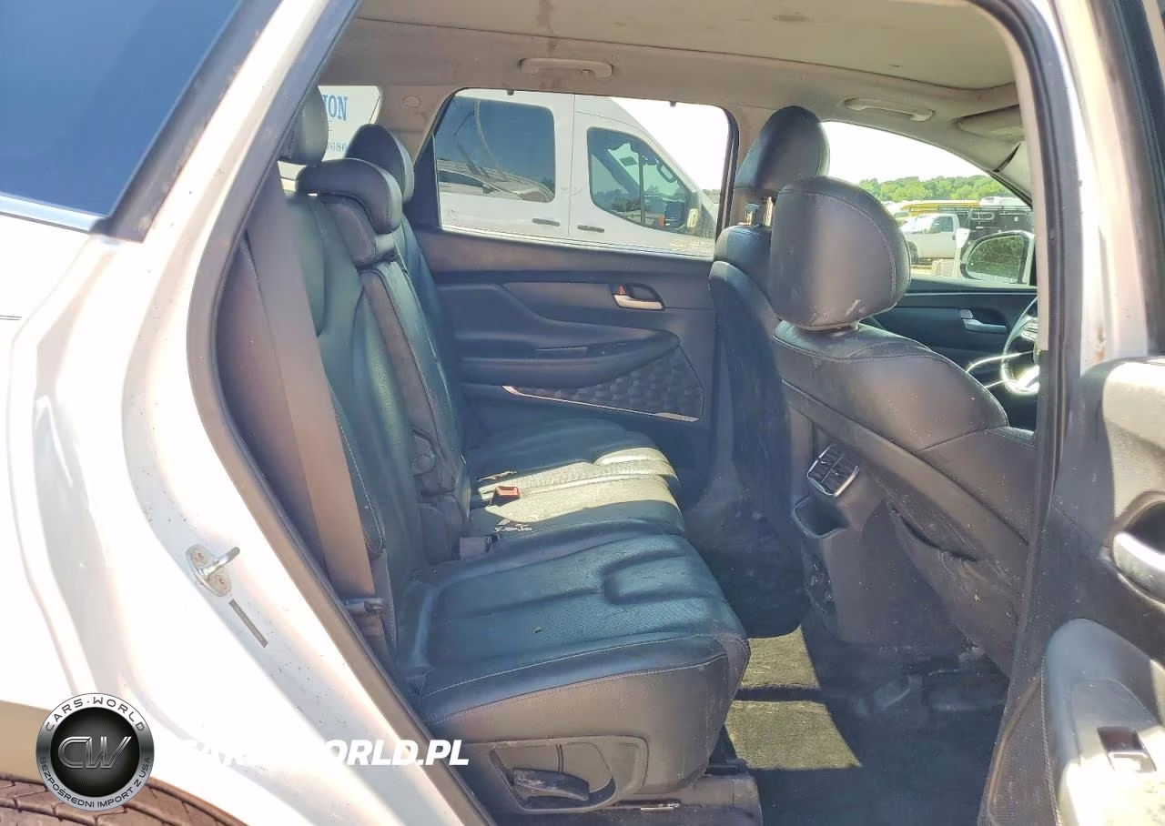 2019 Hyundai Santa Fe Limited 2.0T VIN:5NMS53AA1KH093889 - 11