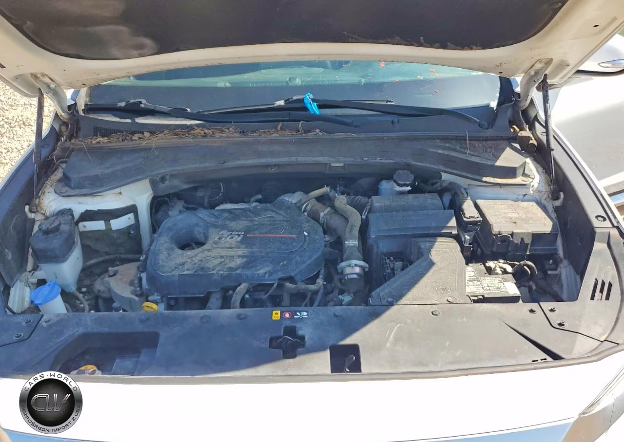 2019 Hyundai Santa Fe Limited 2.0T VIN:5NMS53AA1KH093889 - 12