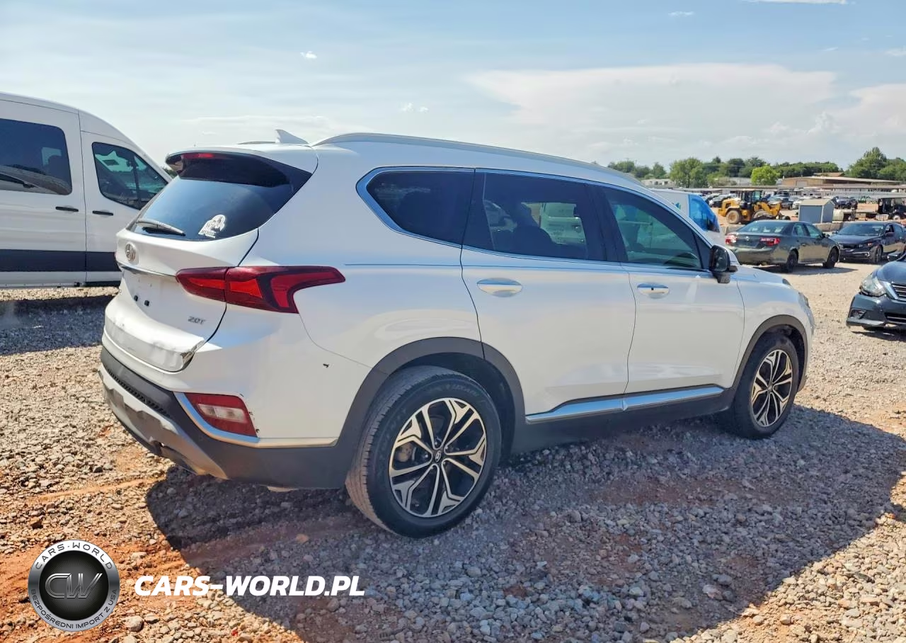 2019 Hyundai Santa Fe Limited 2.0T VIN:5NMS53AA1KH093889 - 3
