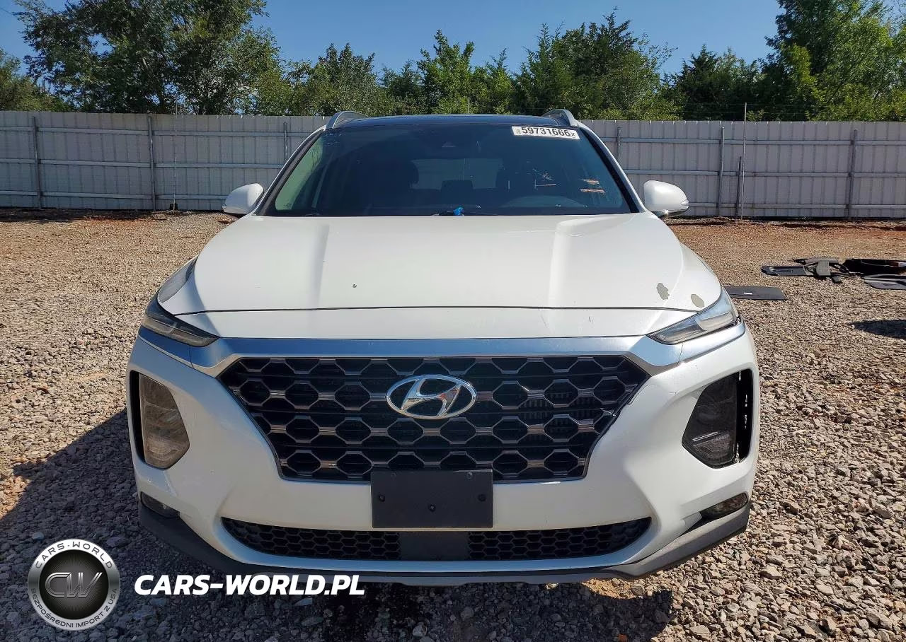 2019 Hyundai Santa Fe Limited 2.0T VIN:5NMS53AA1KH093889 - 5
