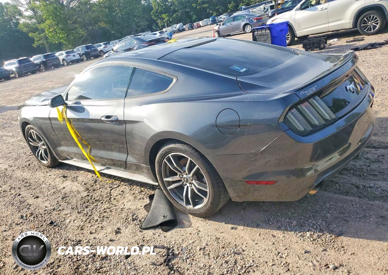 2017 Ford Mustang VIN:1FA6P8TH7H5304968 - 2