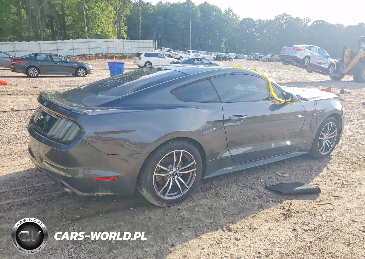 2017 Ford Mustang VIN:1FA6P8TH7H5304968 - 3