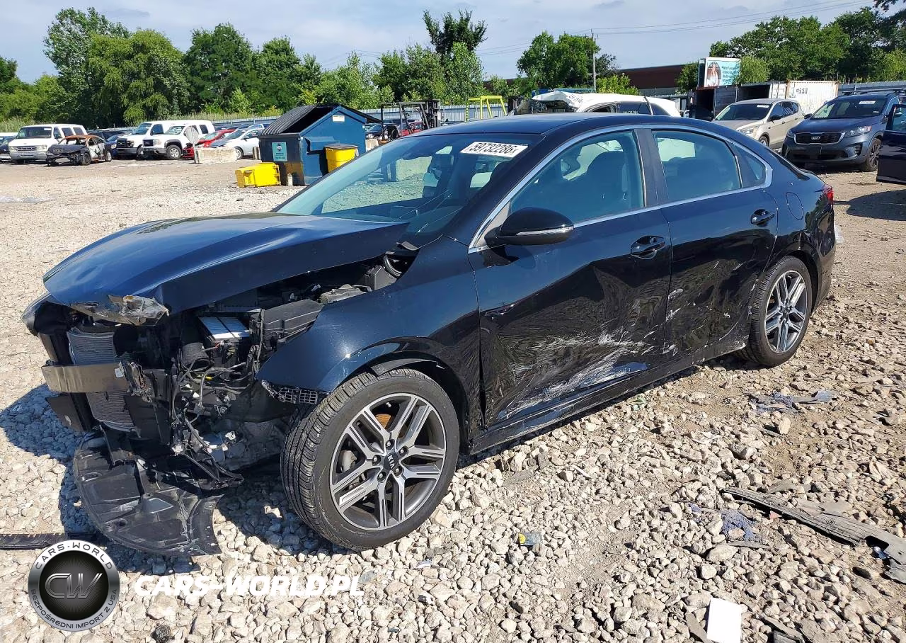 2019 Kia Forte Ex