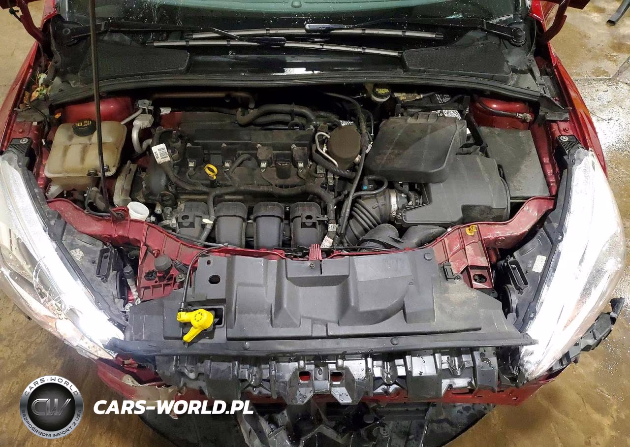 2016 Ford Focus Se VIN:1FADP3F29GL308774 - 11