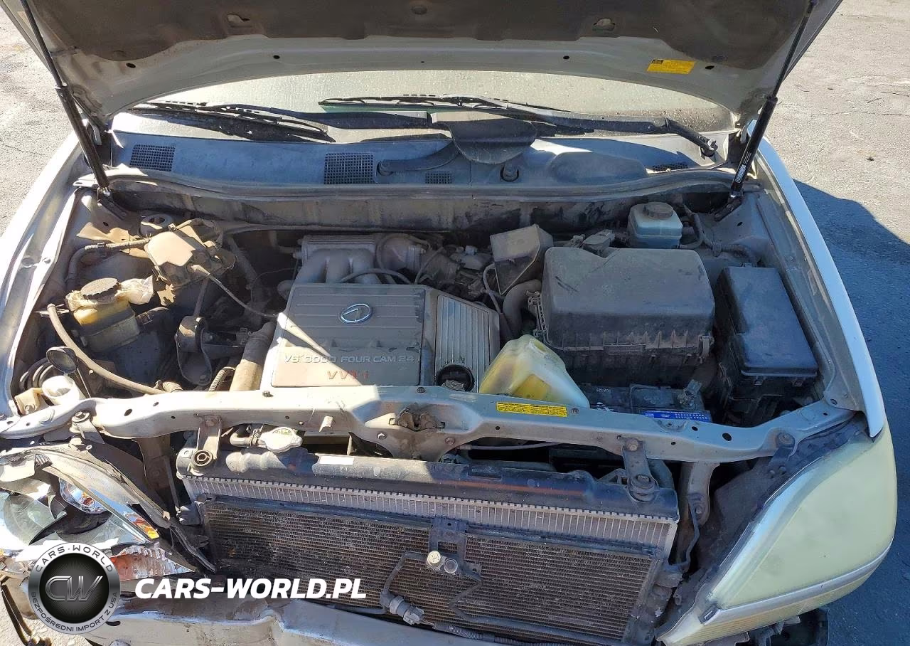 2002 Lexus Rx 300 VIN:JTJHF10U220287898 - 12