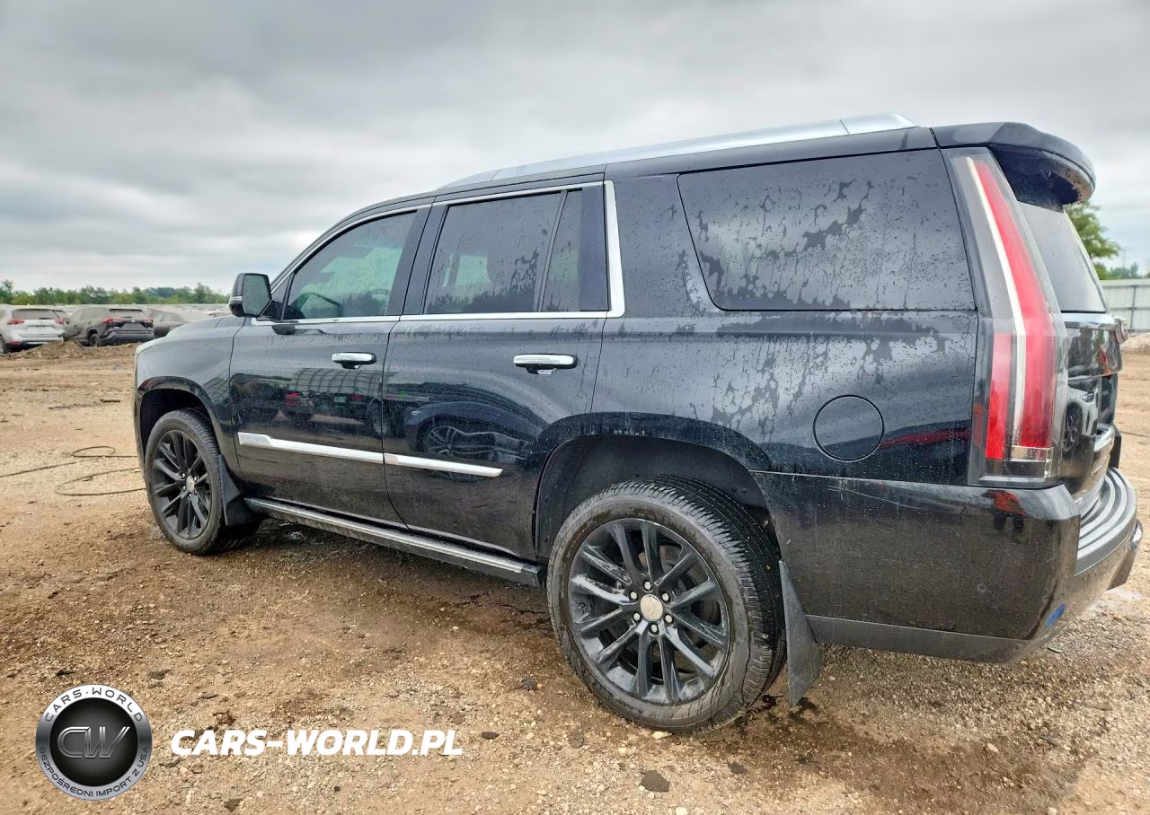 2019 Cadillac Escalade Premium Luxury VIN:1GYS4CKJ0KR144886 - 2