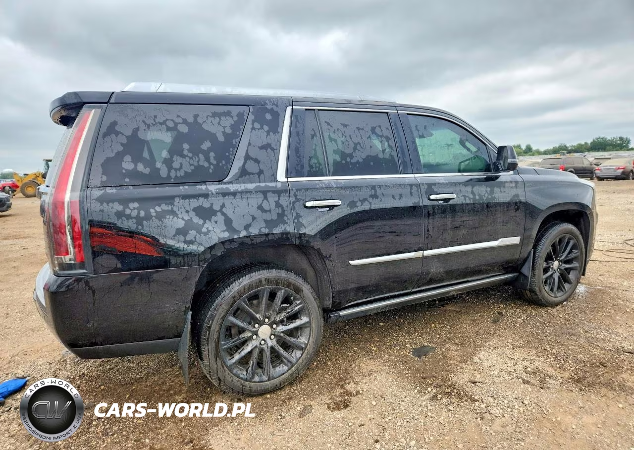 2019 Cadillac Escalade Premium Luxury VIN:1GYS4CKJ0KR144886 - 3