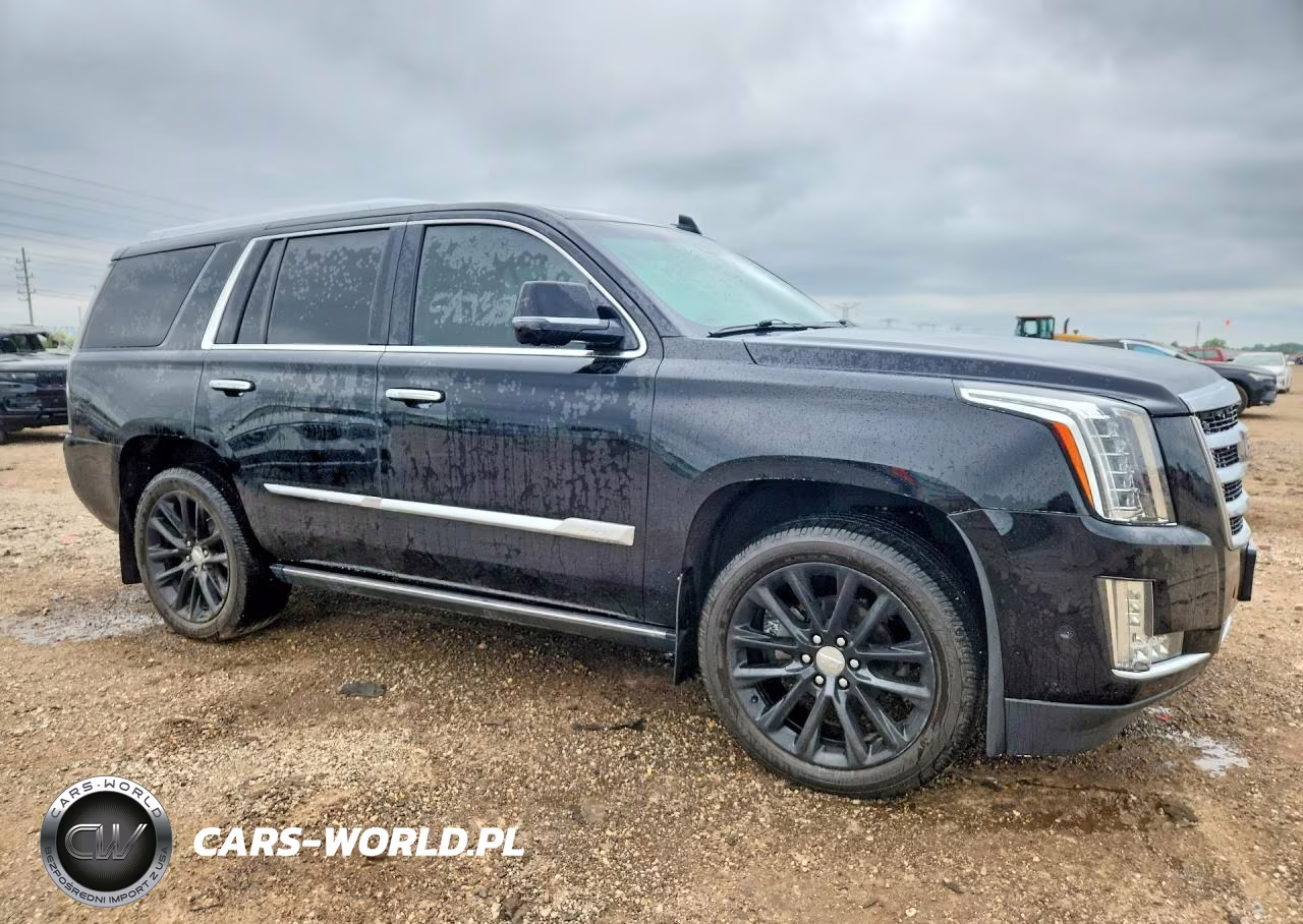 2019 Cadillac Escalade Premium Luxury VIN:1GYS4CKJ0KR144886 - 4