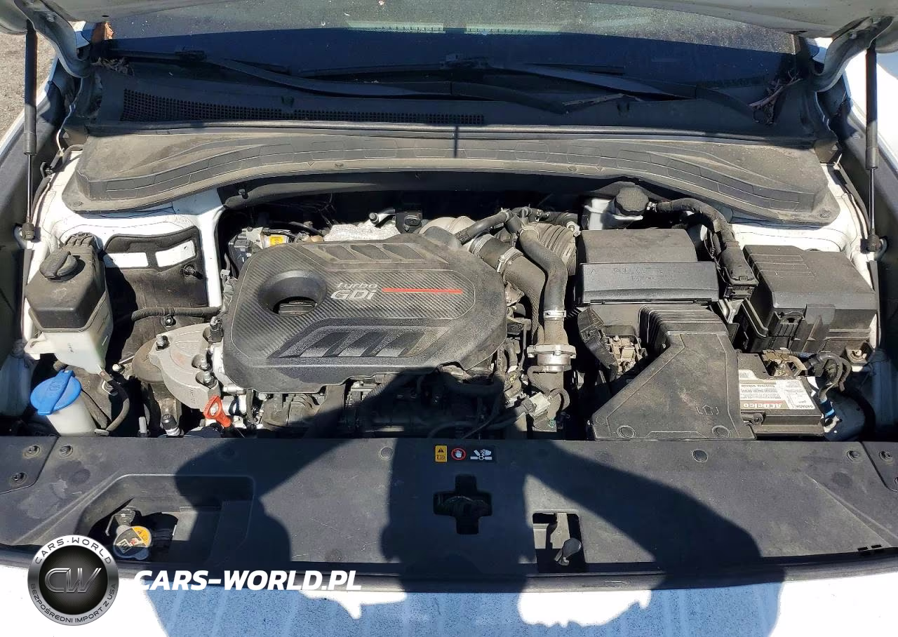 2019 Hyundai Santa Fe Ultimate 2.0T VIN:5NMS53AA5KH036305 - 12