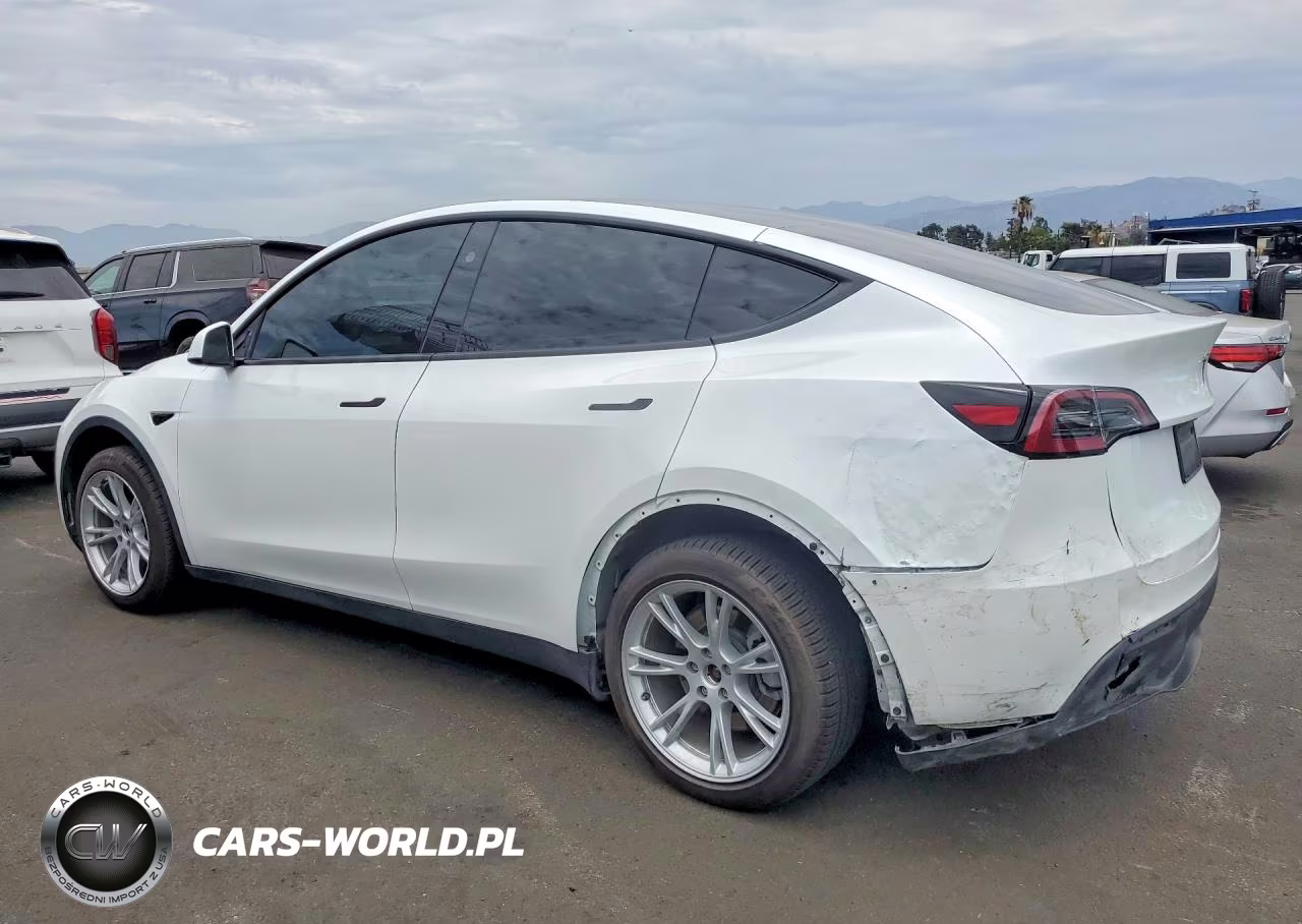 2023 Tesla Model Y VIN:7SAYGDEE0PA154245 - 2