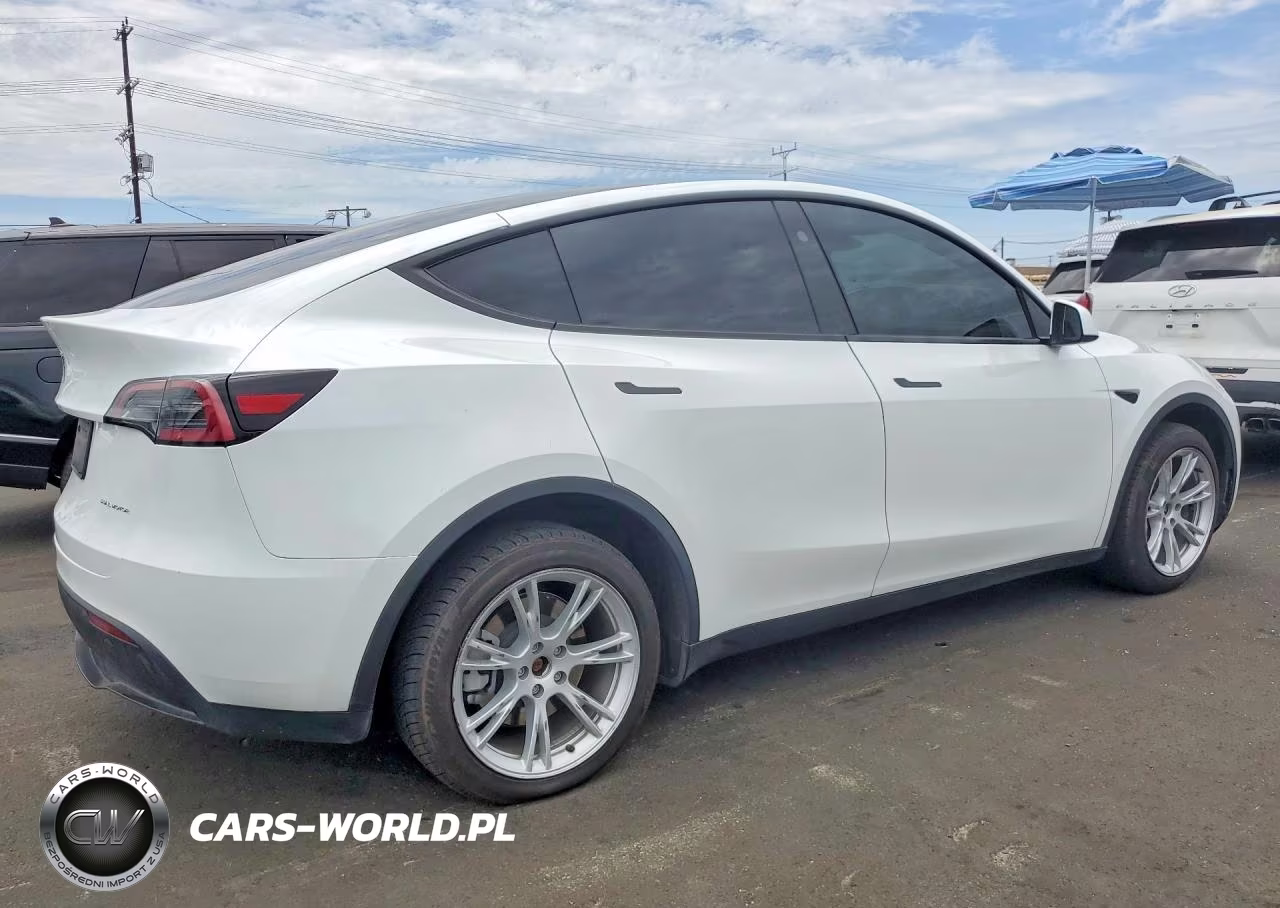 2023 Tesla Model Y VIN:7SAYGDEE0PA154245 - 3