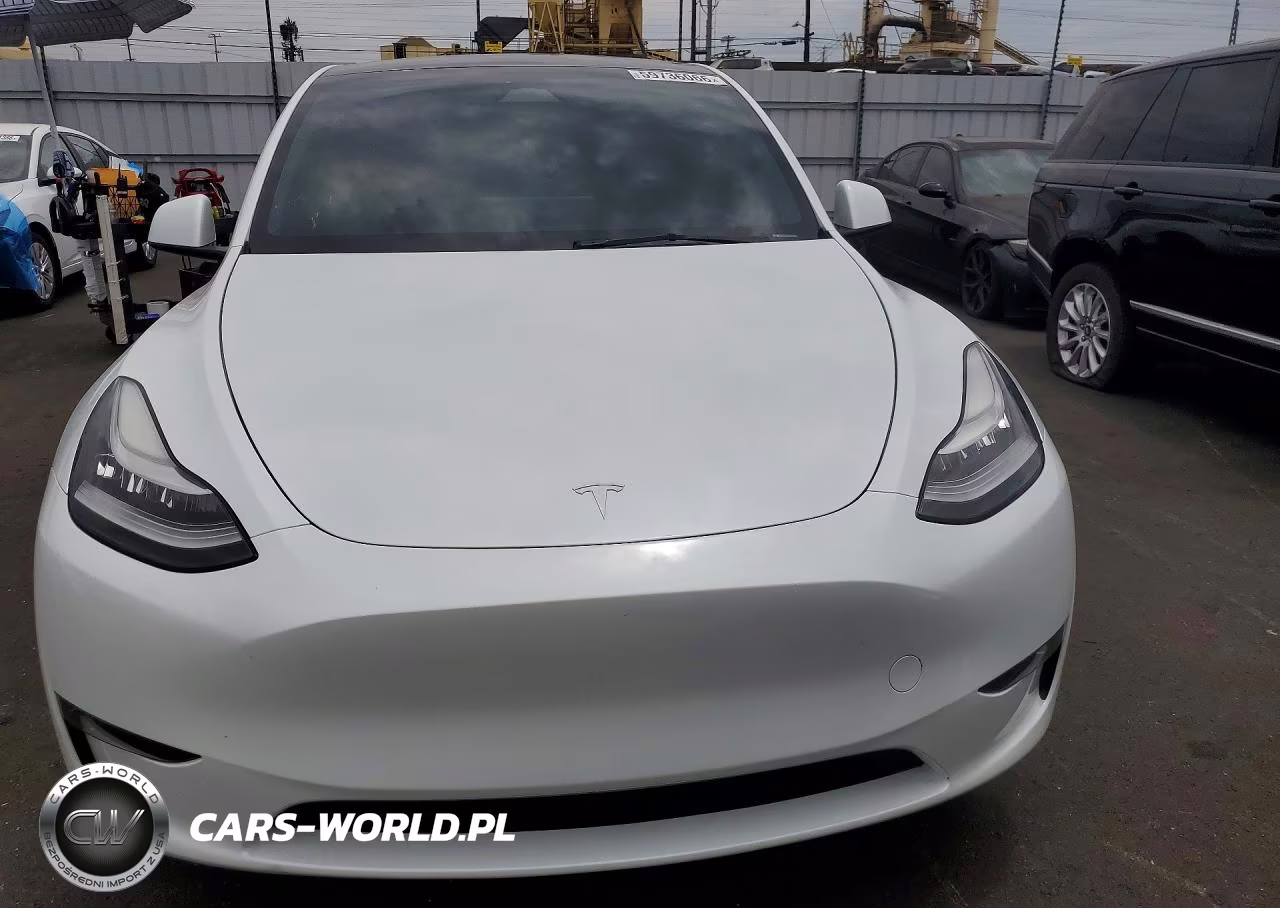 2023 Tesla Model Y VIN:7SAYGDEE0PA154245 - 5