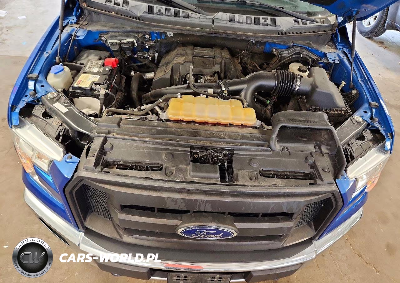 2015 Ford F150 Supercrew VIN:1FTEW1EP9FFC49306 - 11