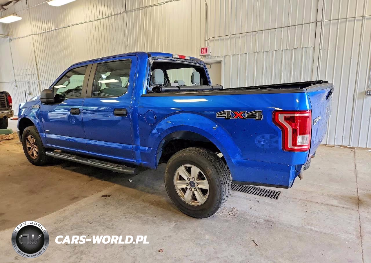 2015 Ford F150 Supercrew VIN:1FTEW1EP9FFC49306 - 2
