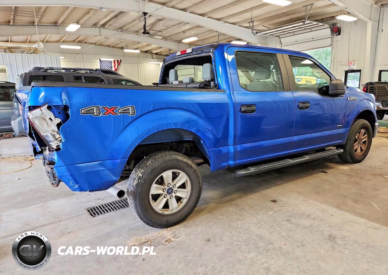 2015 Ford F150 Supercrew VIN:1FTEW1EP9FFC49306 - 3