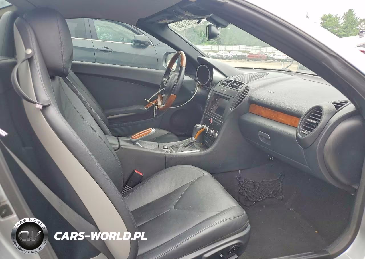 2010 Mercedes-Benz Slk 300 VIN:WDBWK5EA5AF226244 - 10