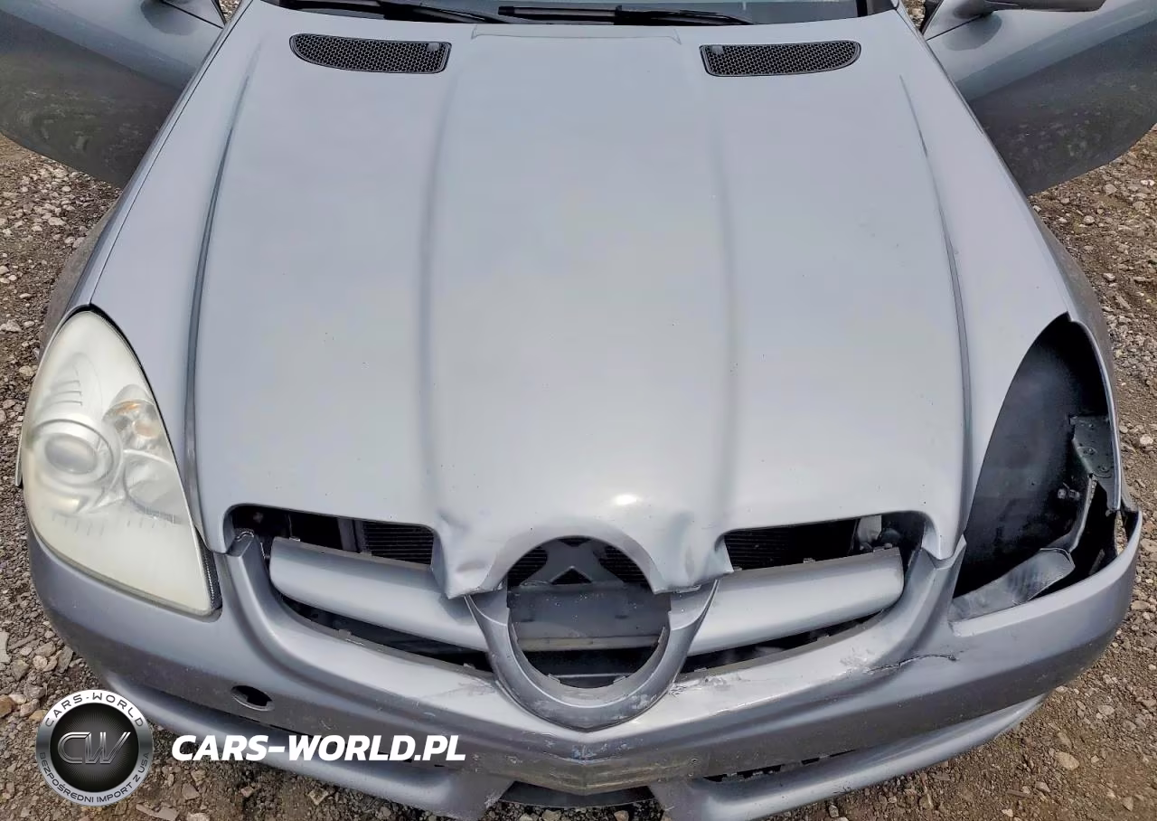 2010 Mercedes-Benz Slk 300 VIN:WDBWK5EA5AF226244 - 11