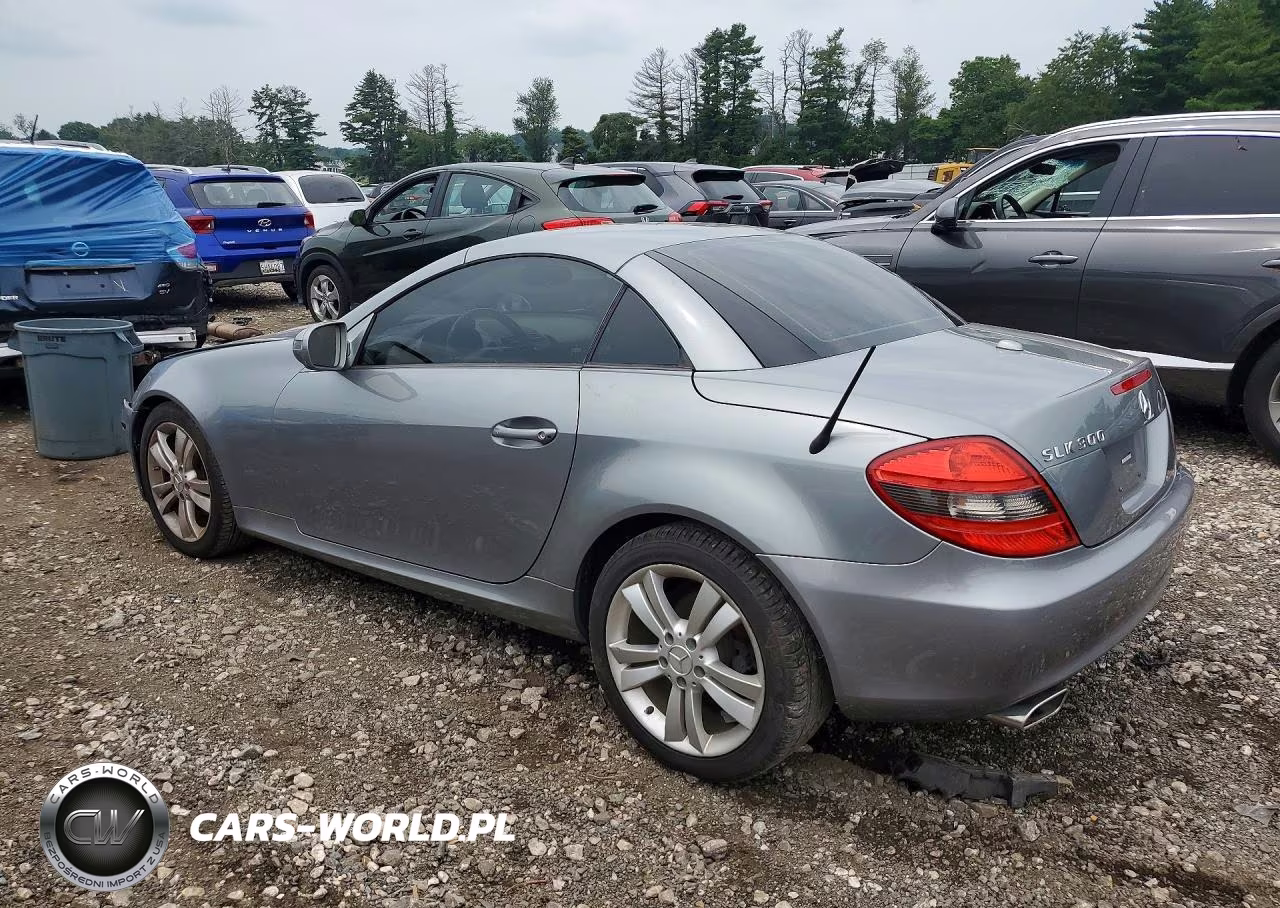 2010 Mercedes-Benz Slk 300 VIN:WDBWK5EA5AF226244 - 2
