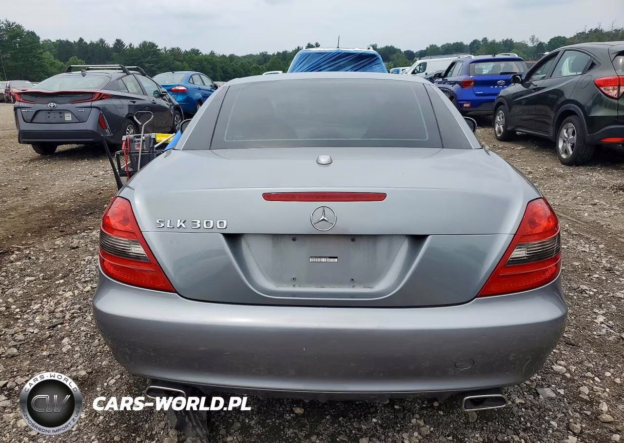 2010 Mercedes-Benz Slk 300 VIN:WDBWK5EA5AF226244 - 6
