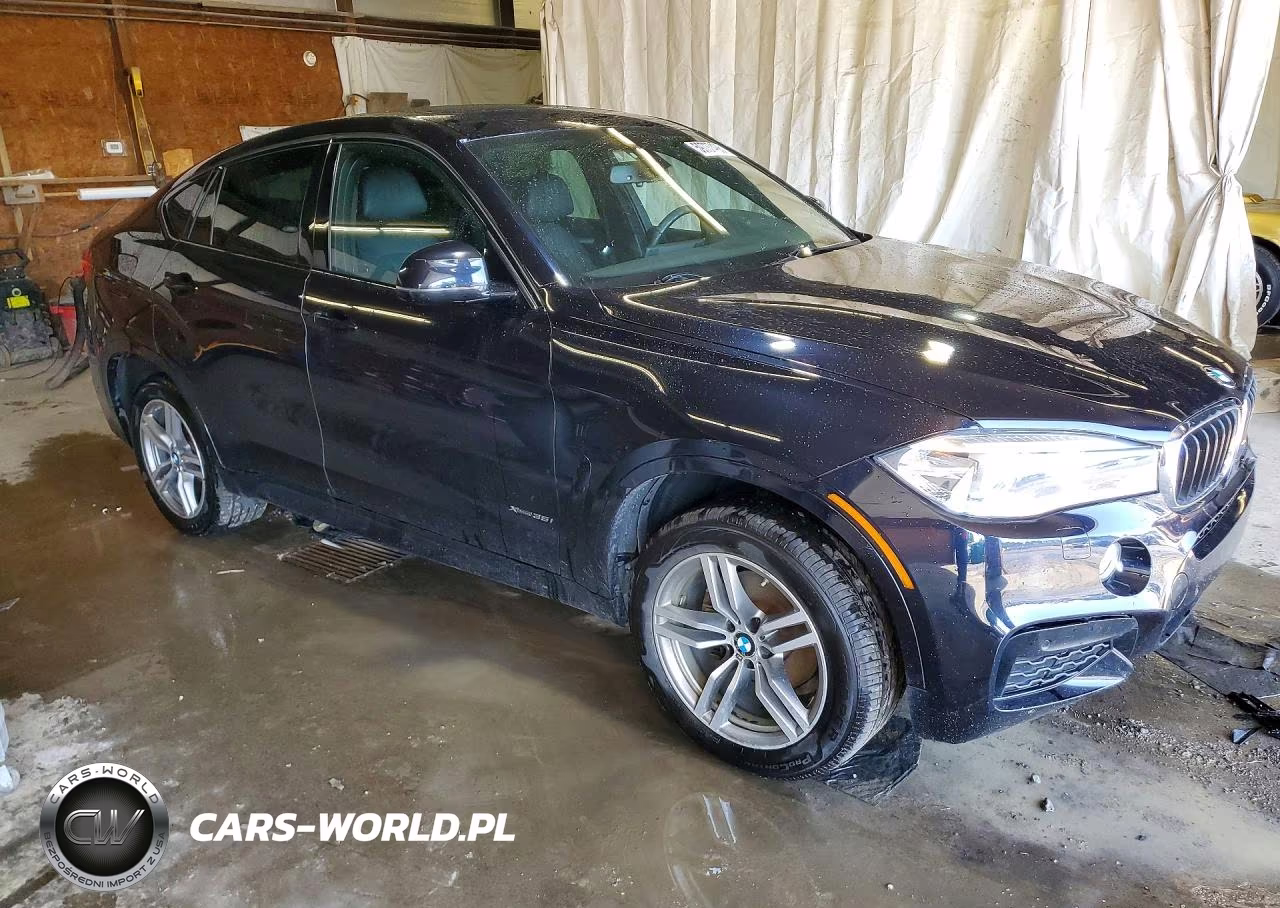 2016 BMW X6 xDrive35I VIN:5UXKU2C52G0N79114 - 4