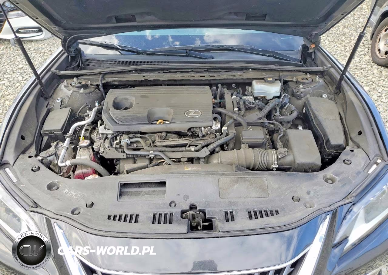 2022 Lexus Es 300H Base VIN:58ADA1C17NU014247 - 11