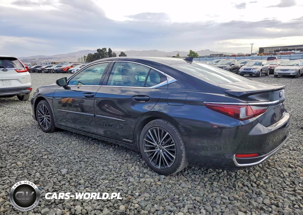 2022 Lexus Es 300H Base VIN:58ADA1C17NU014247 - 2