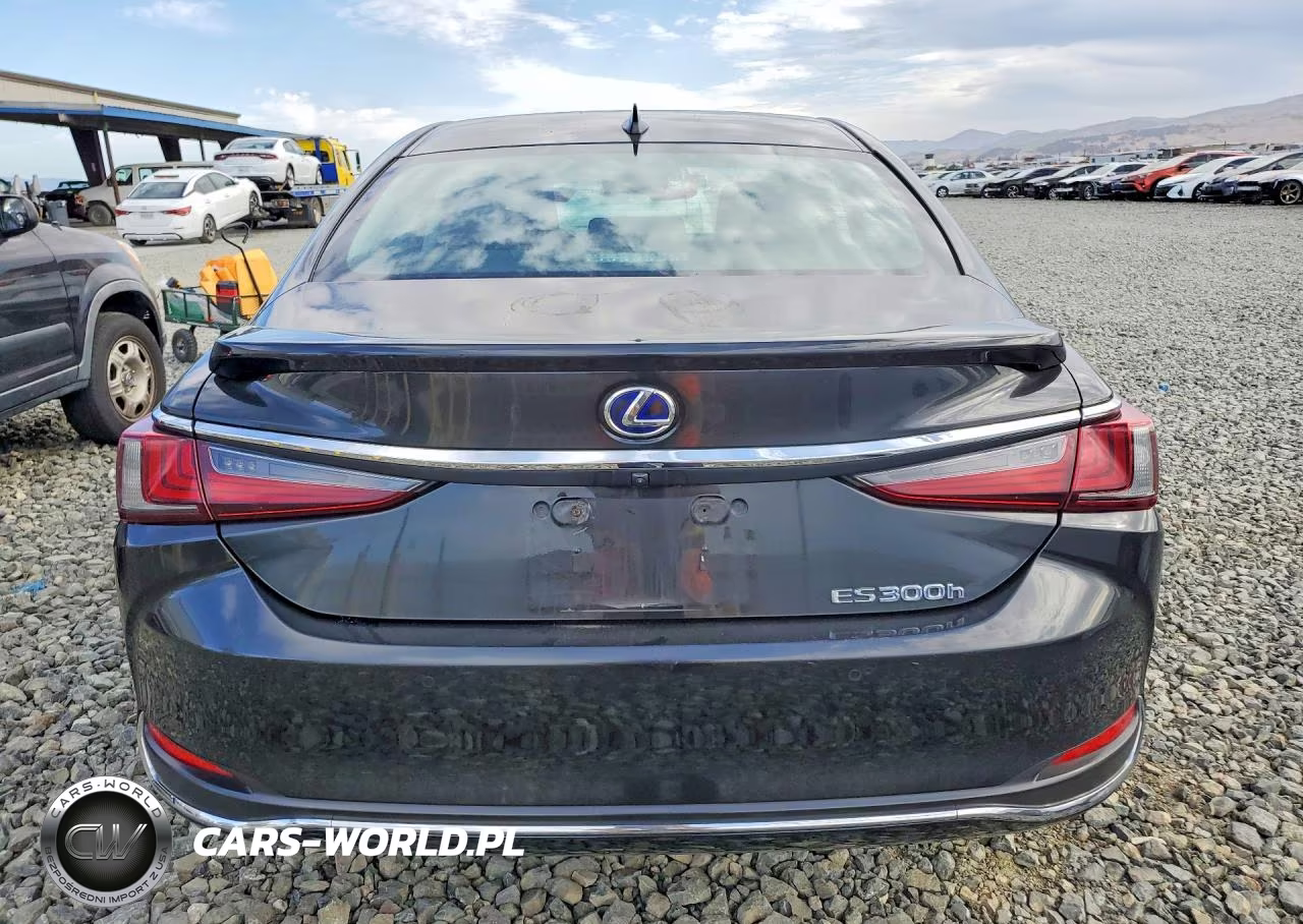 2022 Lexus Es 300H Base VIN:58ADA1C17NU014247 - 6