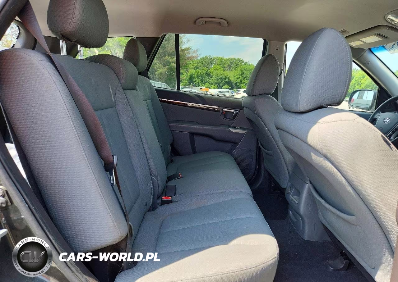 2010 Hyundai Santa Fe Gls VIN:5NMSG3AB9AH382097 - 11