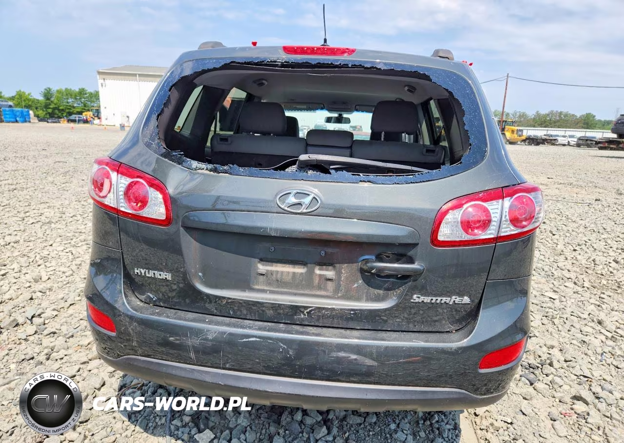 2010 Hyundai Santa Fe Gls VIN:5NMSG3AB9AH382097 - 6