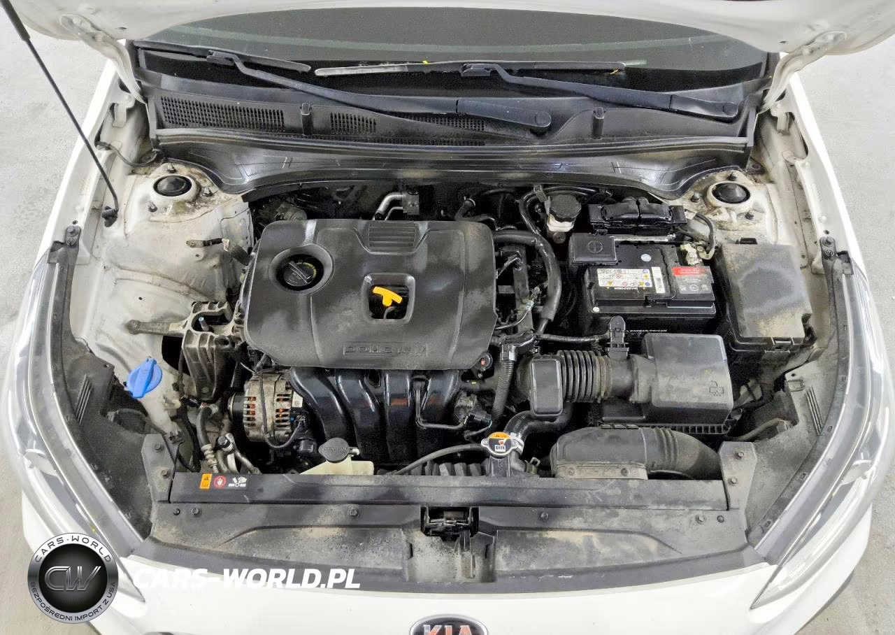 2021 Kia Forte Lxs VIN:3KPF24AD6ME316061 - 11