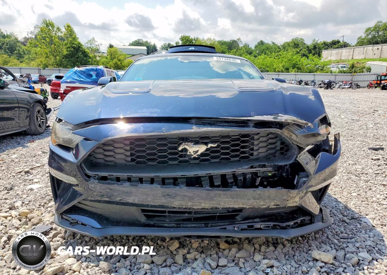 2021 Ford Mustang VIN:1FA6P8TH9M5153433 - 5