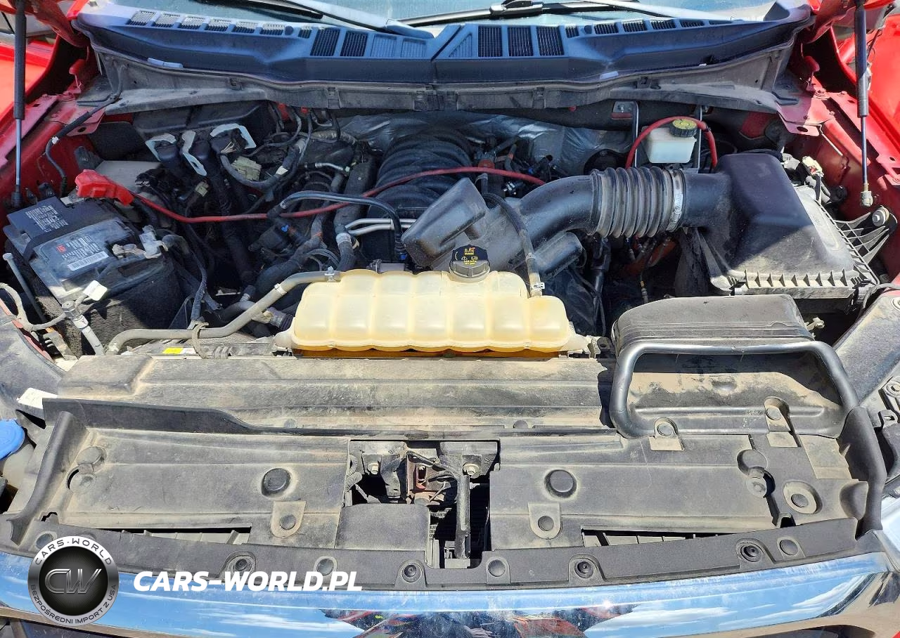 2021 Ford F150 Supercrew VIN:1FTEW1C56MKD45884 - 11
