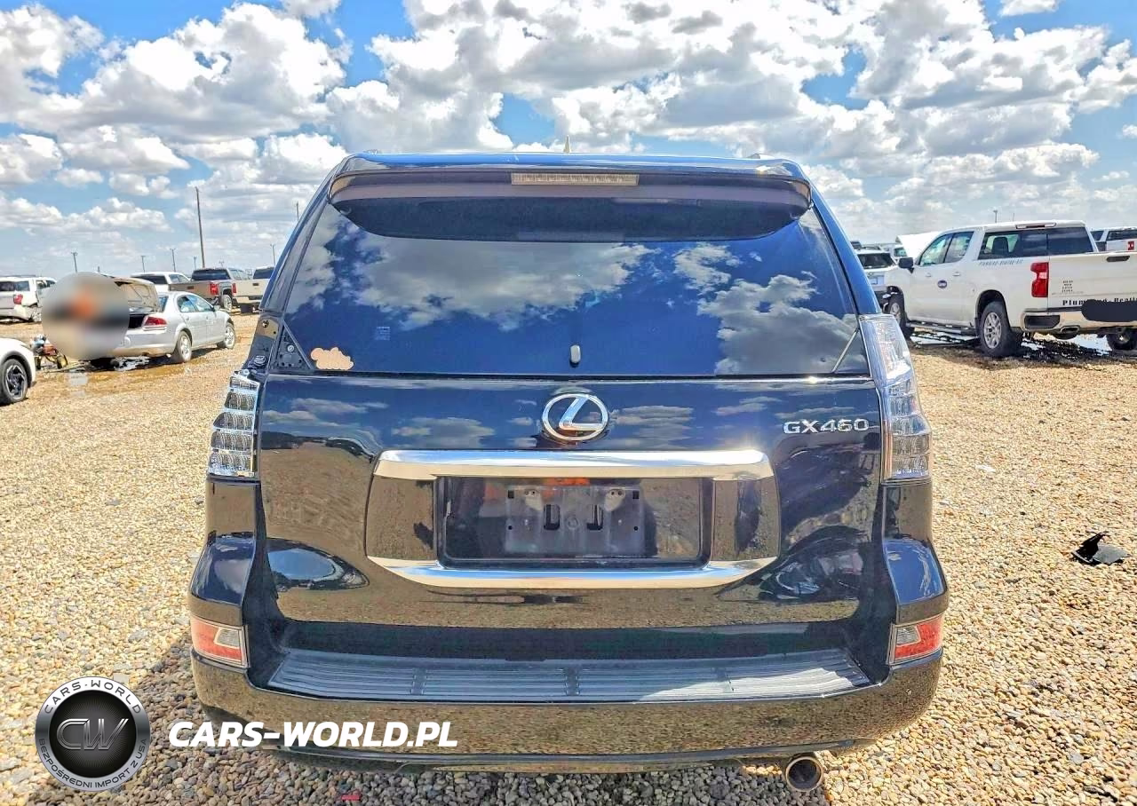 2020 Lexus Gx 460 Premium VIN:JTJAM7BX6L5260788 - 6