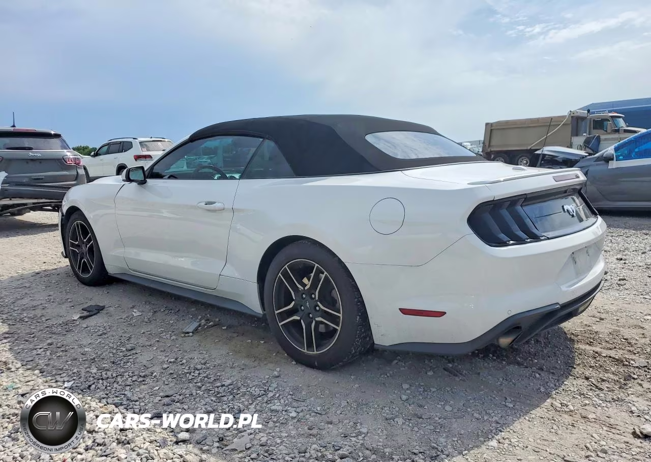 2021 Ford Mustang VIN:1FATP8UH8M5124958 - 2