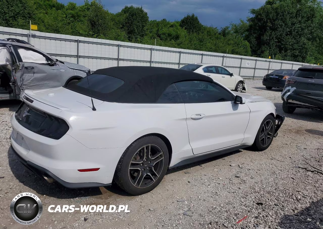 2021 Ford Mustang VIN:1FATP8UH8M5124958 - 3