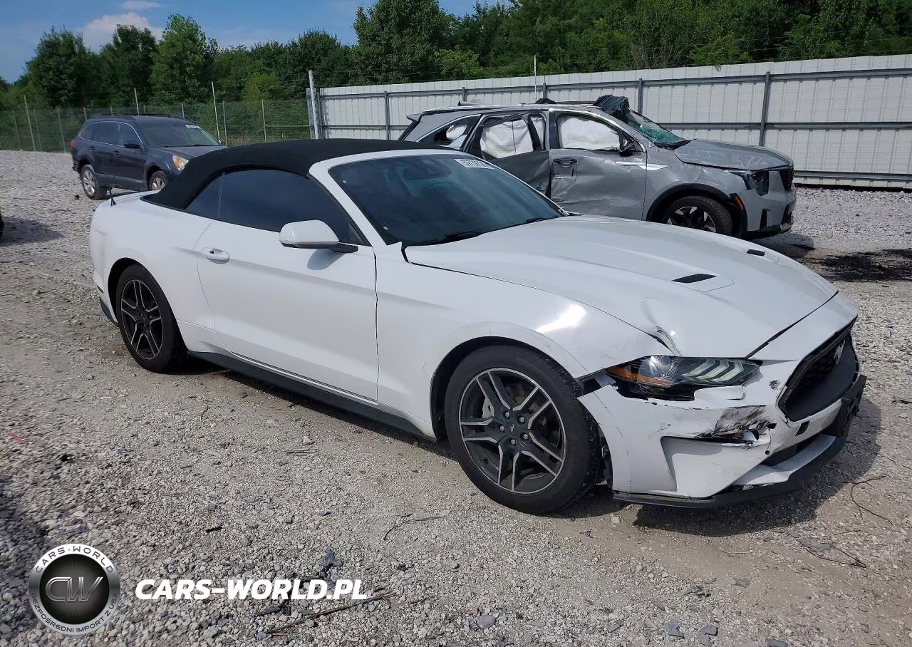 2021 Ford Mustang VIN:1FATP8UH8M5124958 - 4