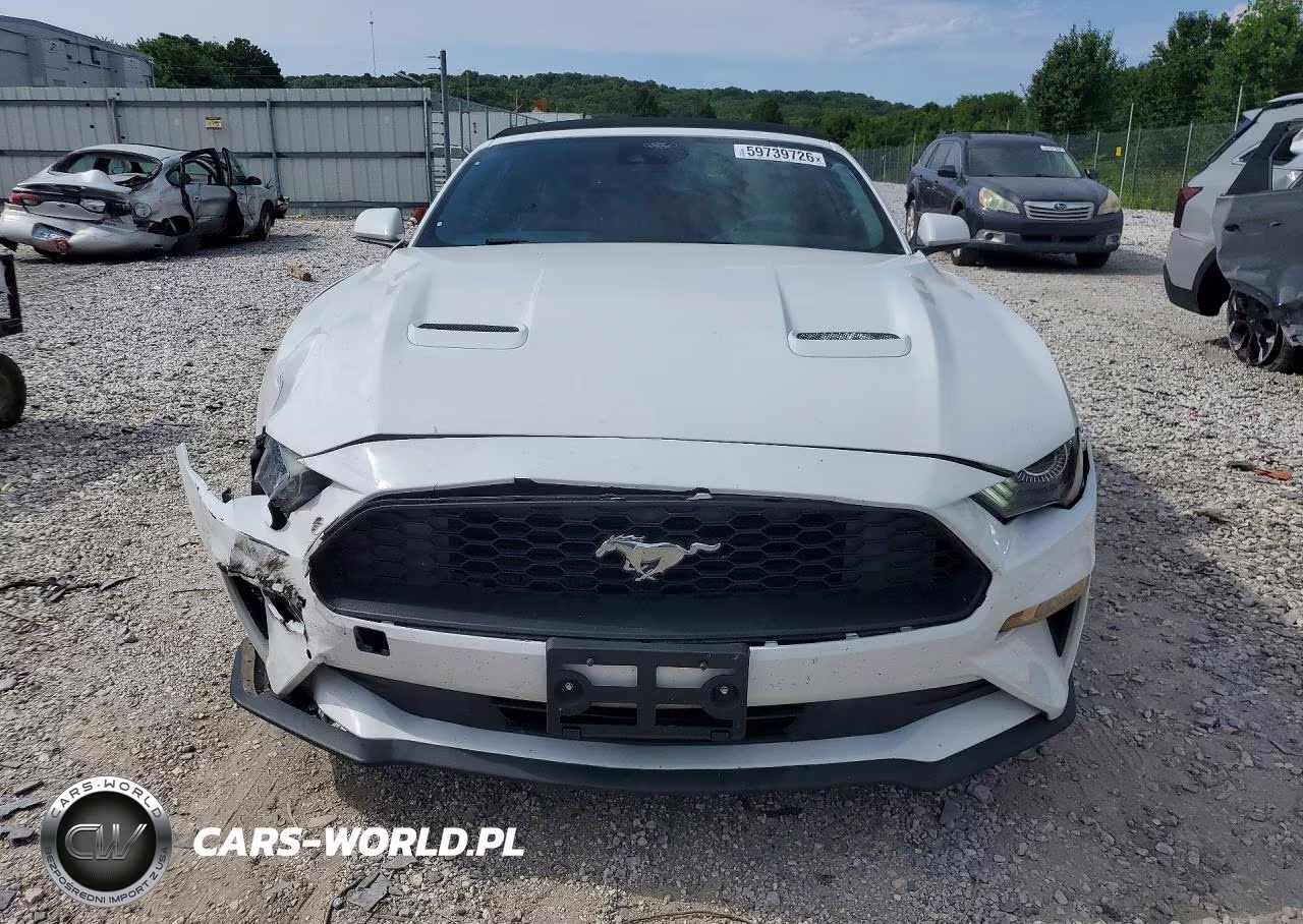 2021 Ford Mustang VIN:1FATP8UH8M5124958 - 5