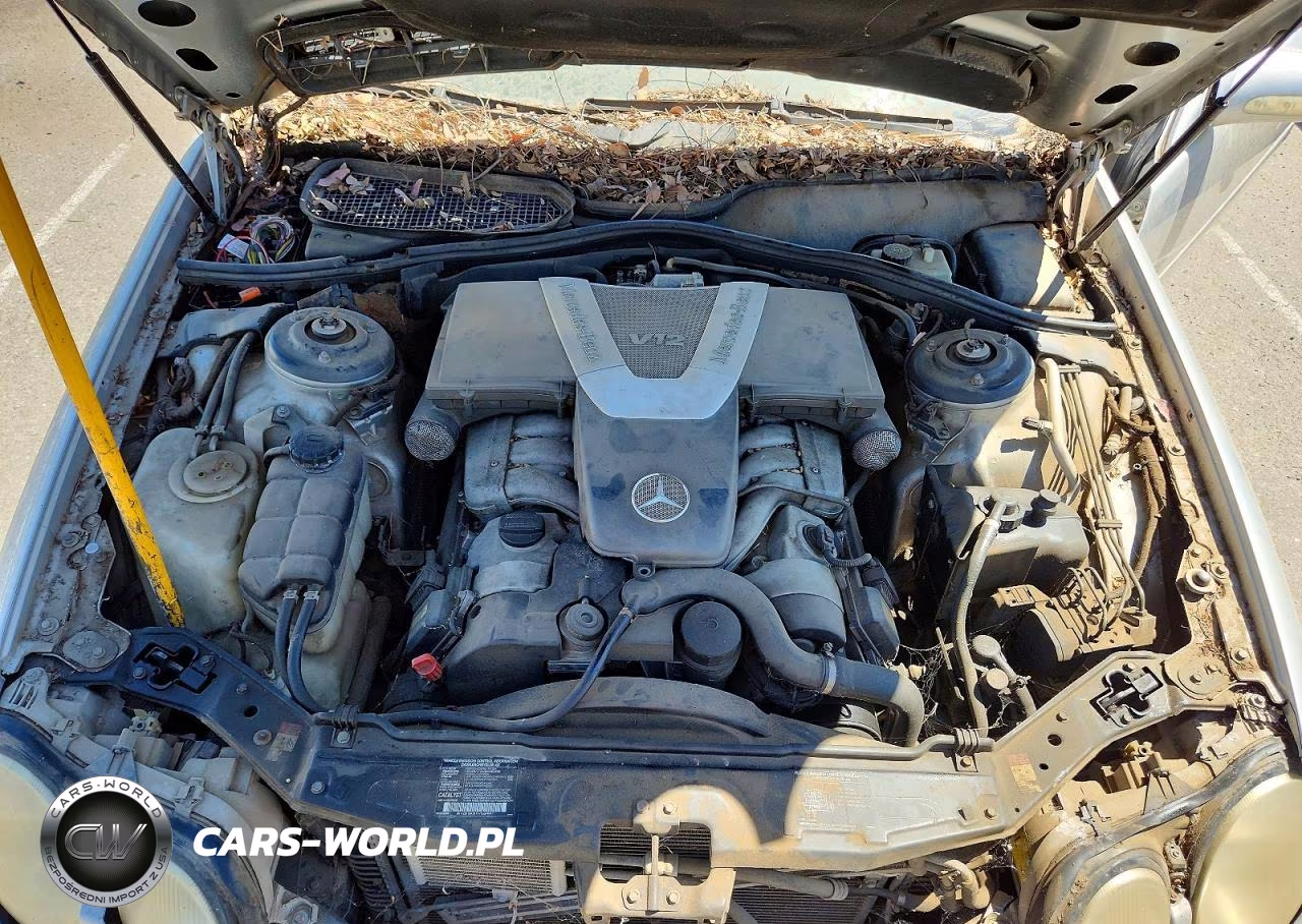 2001 Mercedes-Benz Cl 600 VIN:WDBPJ78J11A009706 - 11